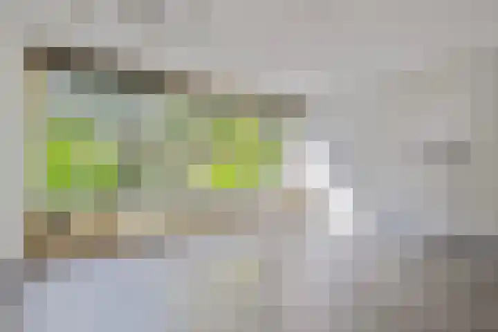 Generaal Van Heutszlaan 56 Apeldoorn thumbnail 9