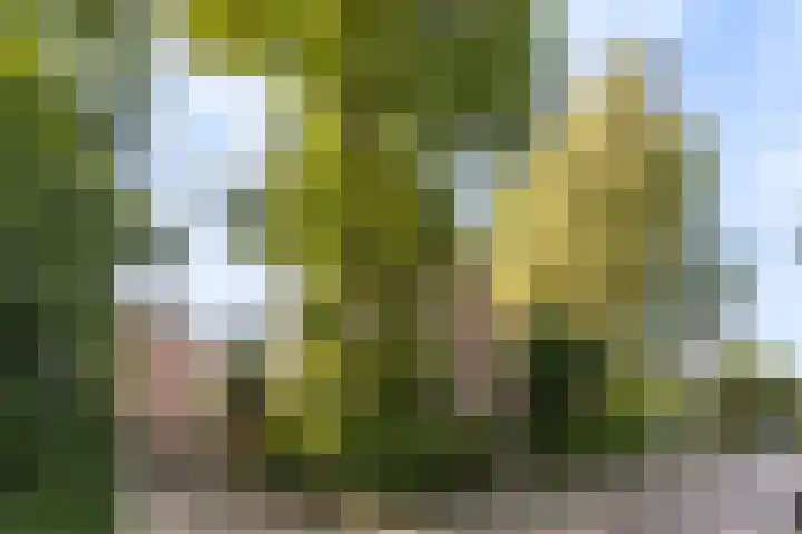 Generaal Van Heutszlaan 66 Apeldoorn foto 3
