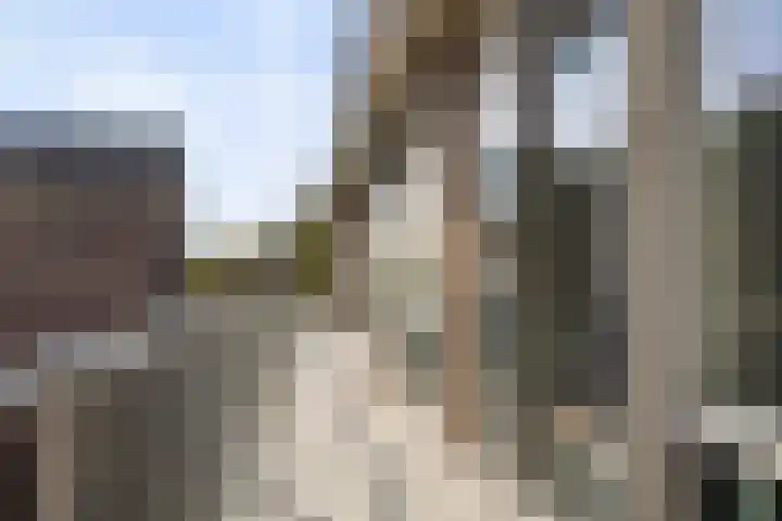 Generaal Van Heutszlaan 66 Apeldoorn thumbnail 6