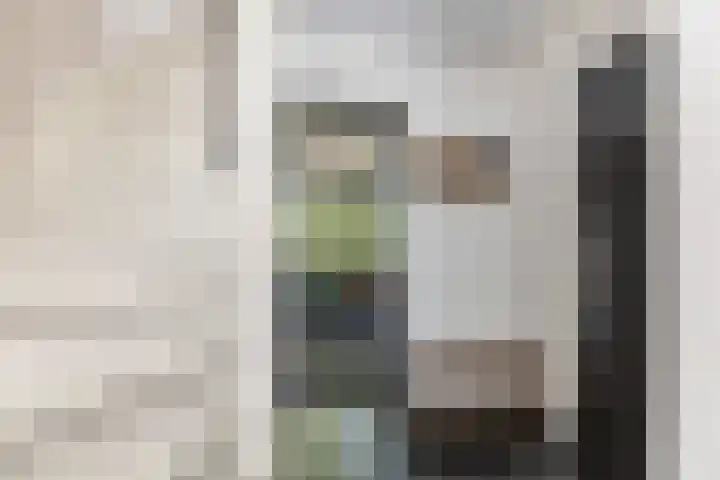 Generaal Van Heutszlaan 66 Apeldoorn thumbnail 7