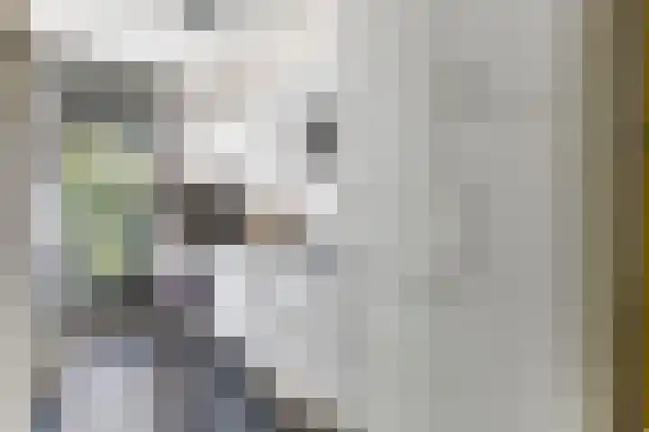 Generaal Van Heutszlaan 66 Apeldoorn thumbnail 8
