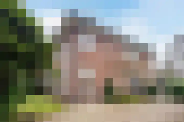 Generaal Van Heutszlaan 67 Apeldoorn thumbnail 18