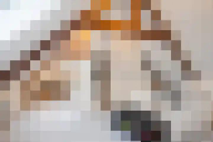 Generaal Van Heutszlaan 67 Apeldoorn thumbnail 43