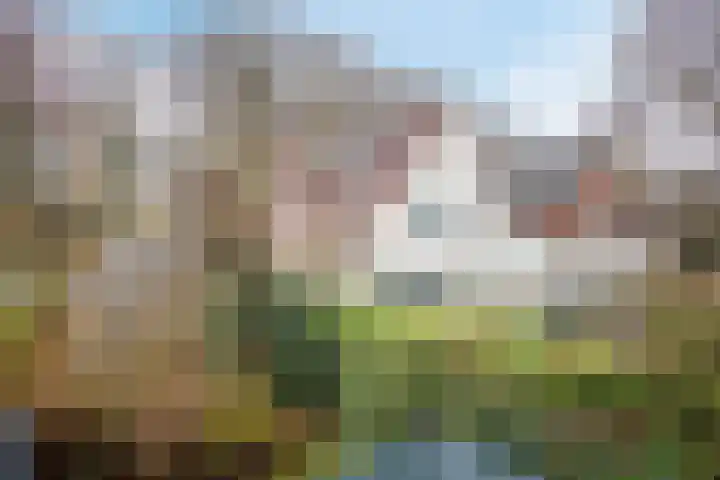 Generaal Van Heutszlaan 67 Apeldoorn thumbnail 49