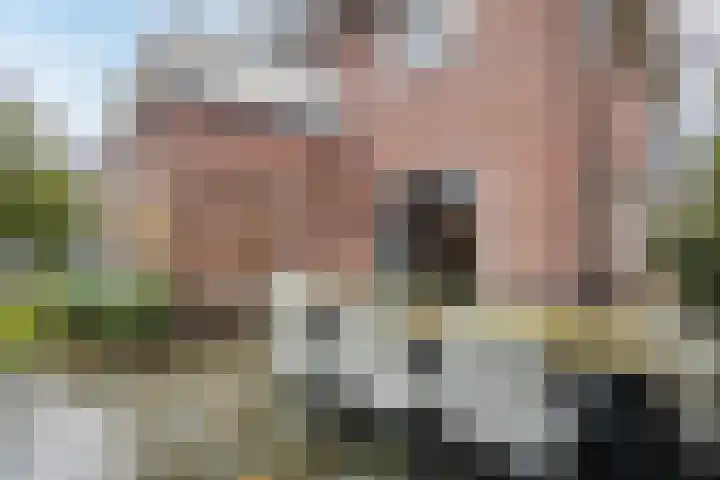 Generaal Van Heutszlaan 67 Apeldoorn thumbnail 52