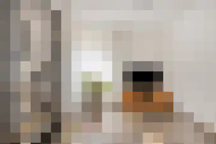 Generaal van Merlenstraat 1 A Eindhoven thumbnail 14