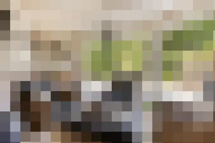 Generaal van Merlenstraat 1 A Eindhoven thumbnail 26