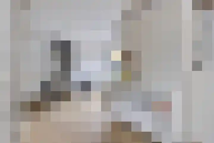 Generaal van Portlandlaan 29 Eindhoven thumbnail 14