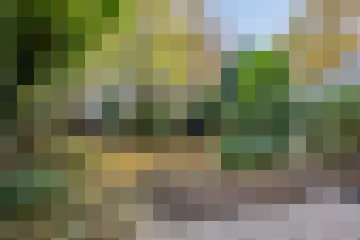 Generaal van Portlandlaan 29 Eindhoven thumbnail 32