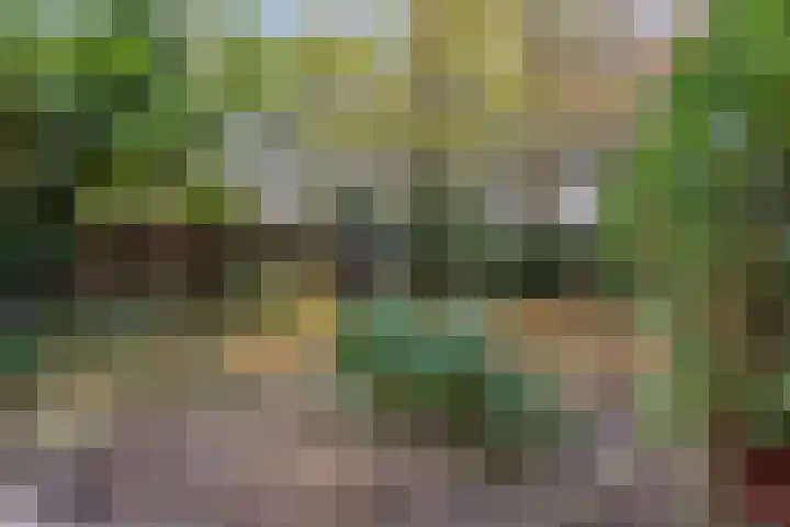 Generaal van Portlandlaan 29 Eindhoven thumbnail 33