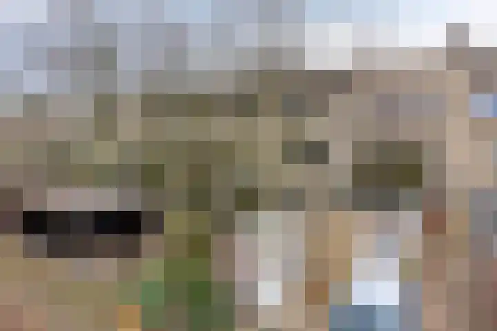 Generaal van Portlandlaan 29 Eindhoven thumbnail 36