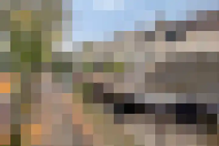 Generaal van Portlandlaan 29 Eindhoven thumbnail 38