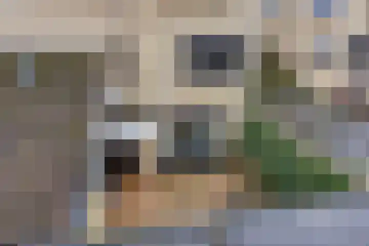Generaal van Portlandlaan 29 Eindhoven thumbnail 39