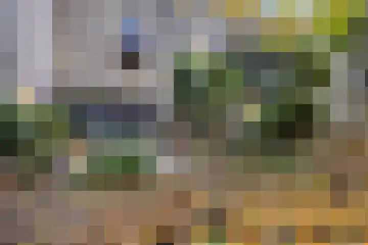 Generaal van Portlandlaan 29 Eindhoven thumbnail 6
