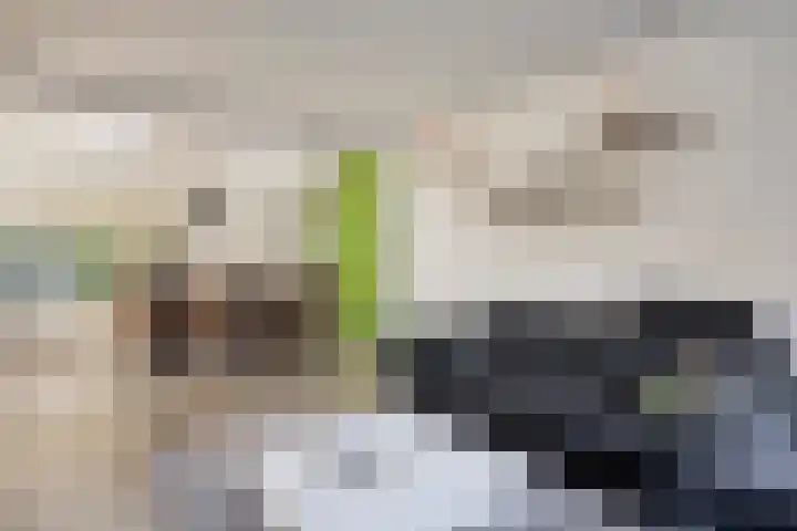 Generaal van Portlandlaan 45 Eindhoven thumbnail 23