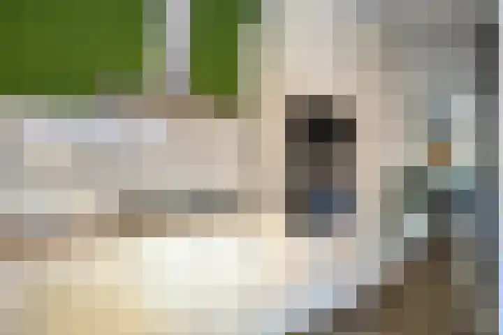 Generaal van Portlandlaan 45 Eindhoven thumbnail 32