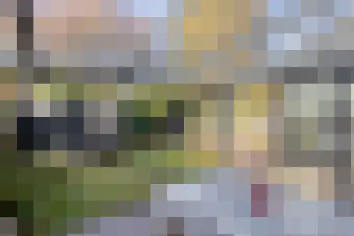 Generaal van Portlandlaan 45 Eindhoven thumbnail 61