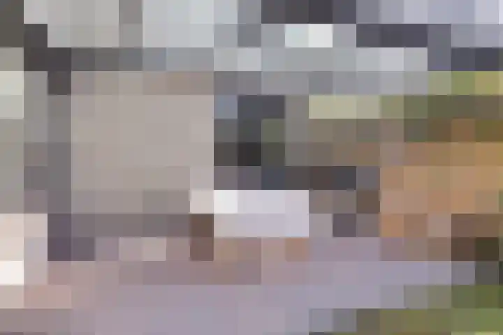 Generaal van Portlandlaan 45 Eindhoven thumbnail 64