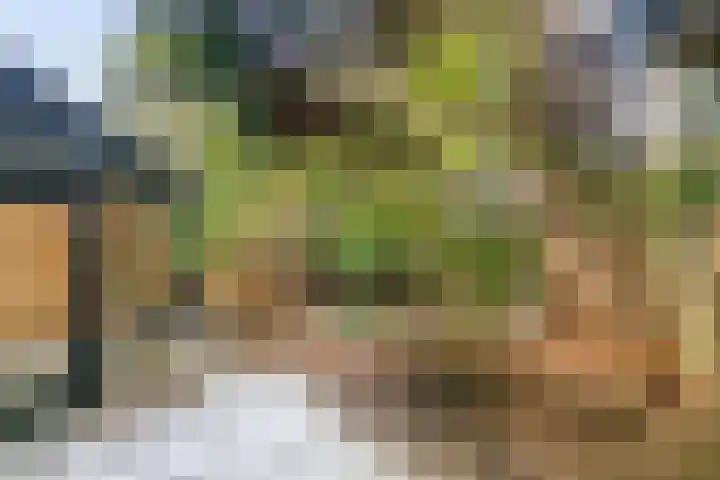 Generaal van Portlandlaan 55 Eindhoven thumbnail 6