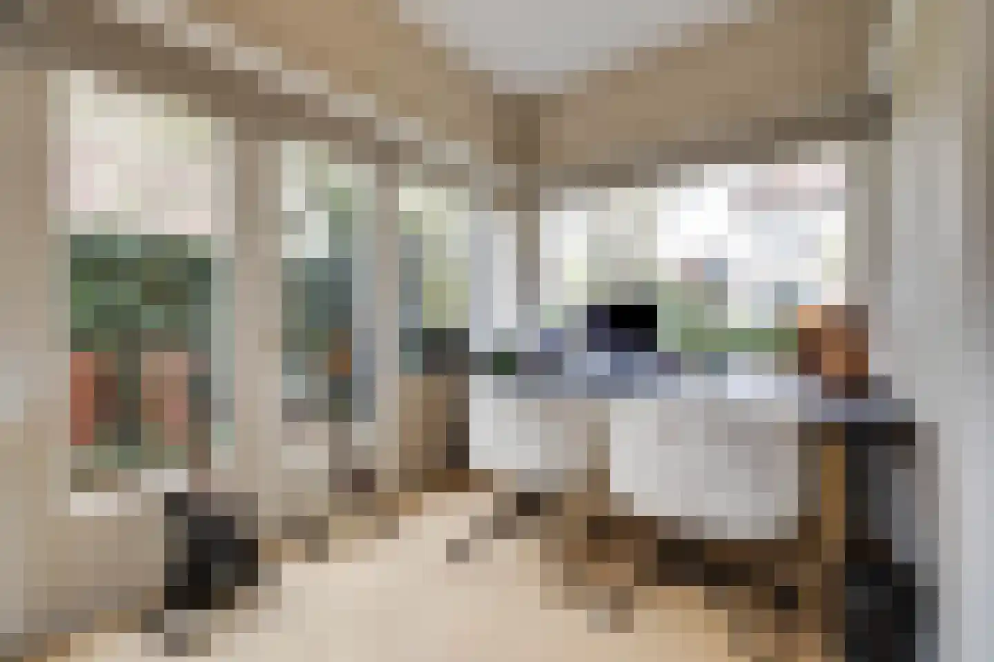 Generaal Van Swietenlaan 16 Apeldoorn thumbnail 10