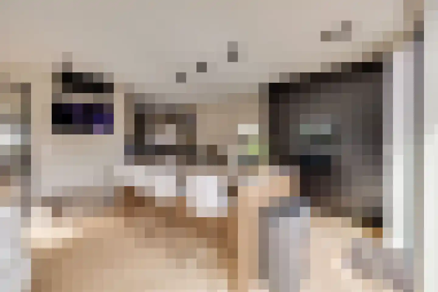 Generaal Van Swietenlaan 16 Apeldoorn thumbnail 13