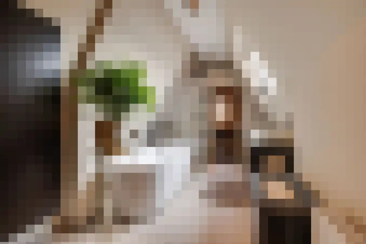 Generaal Van Swietenlaan 16 Apeldoorn thumbnail 29
