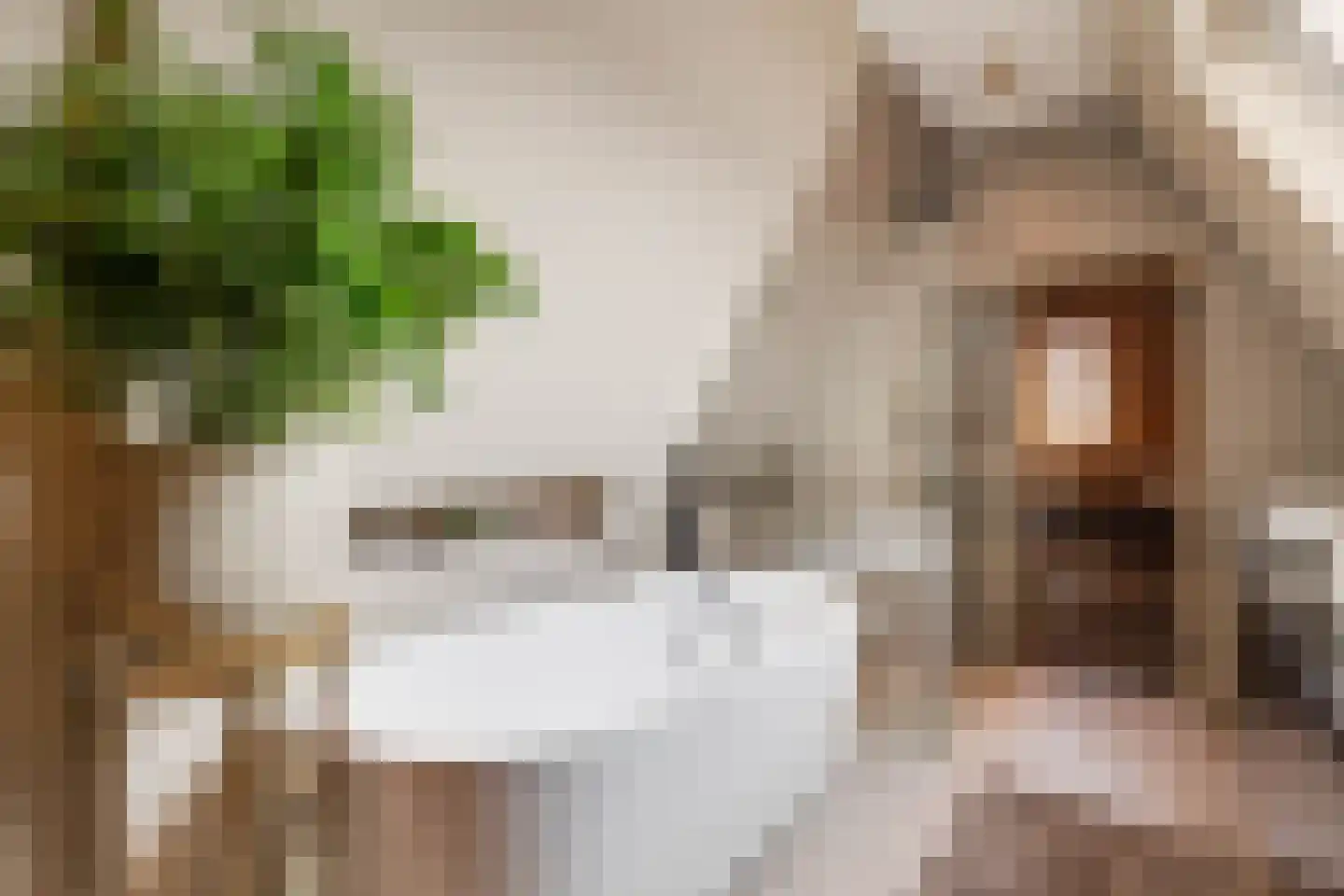 Generaal Van Swietenlaan 16 Apeldoorn thumbnail 30