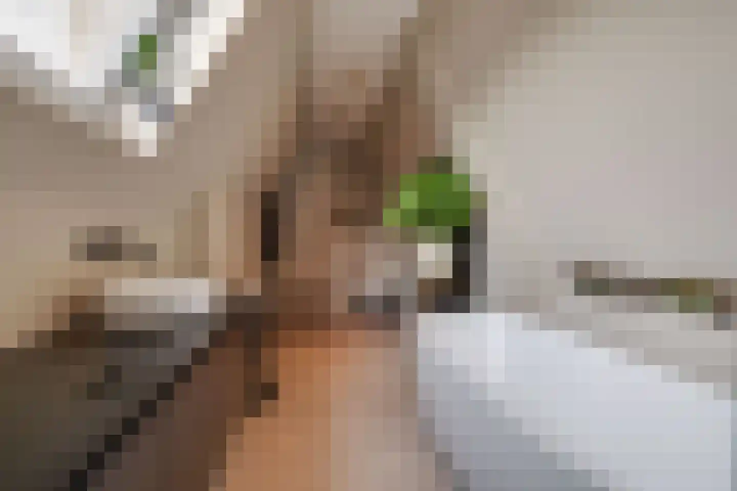 Generaal Van Swietenlaan 16 Apeldoorn thumbnail 34