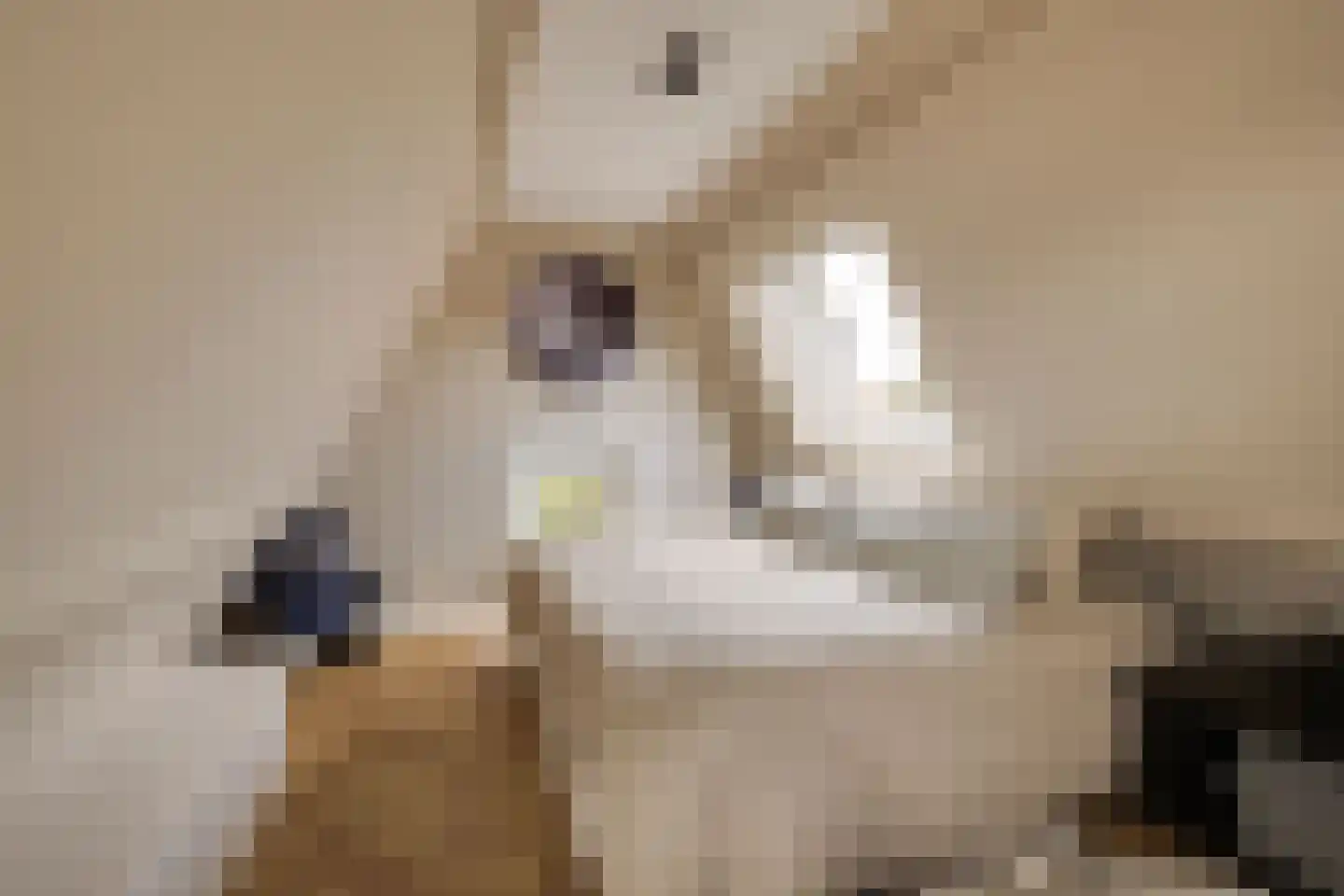 Generaal Van Swietenlaan 16 Apeldoorn thumbnail 35