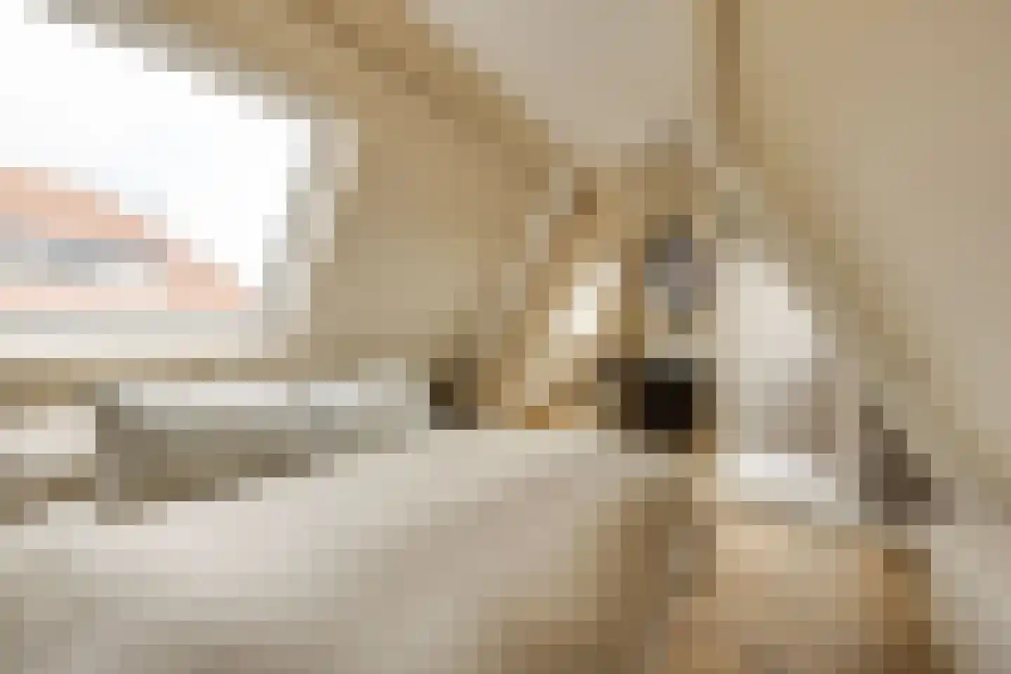 Generaal Van Swietenlaan 16 Apeldoorn thumbnail 36