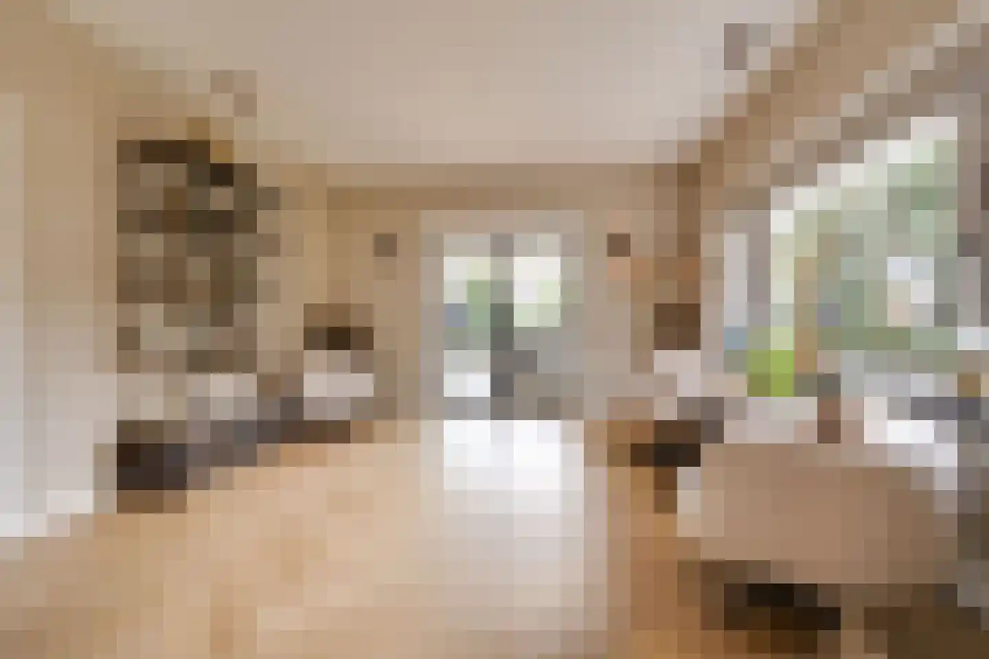 Generaal Van Swietenlaan 16 Apeldoorn thumbnail 4