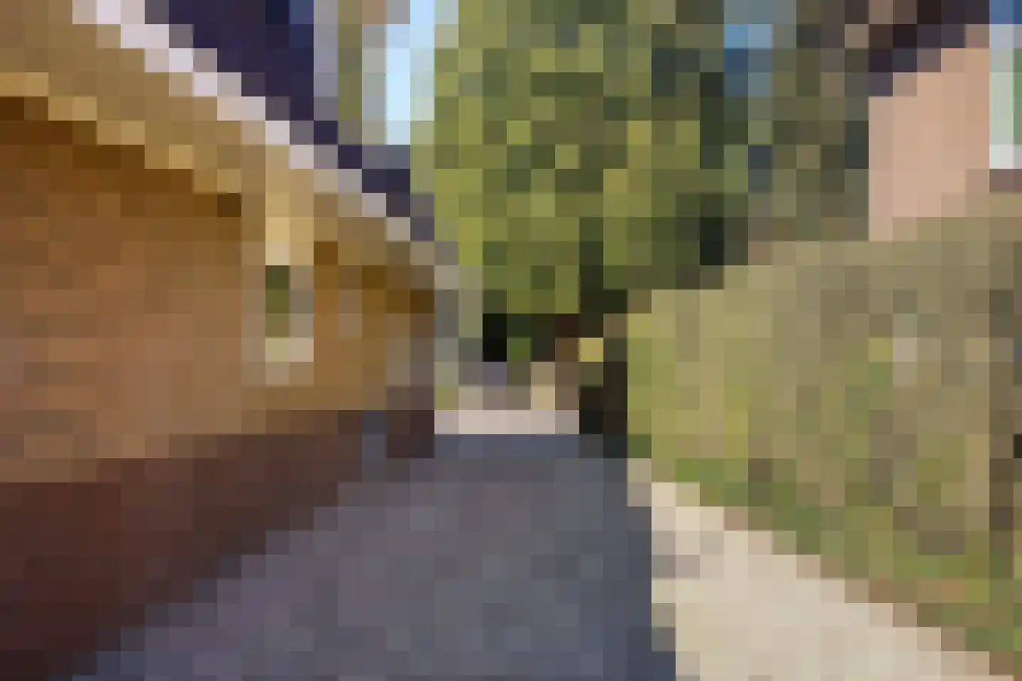 Generaal Van Swietenlaan 16 Apeldoorn thumbnail 57