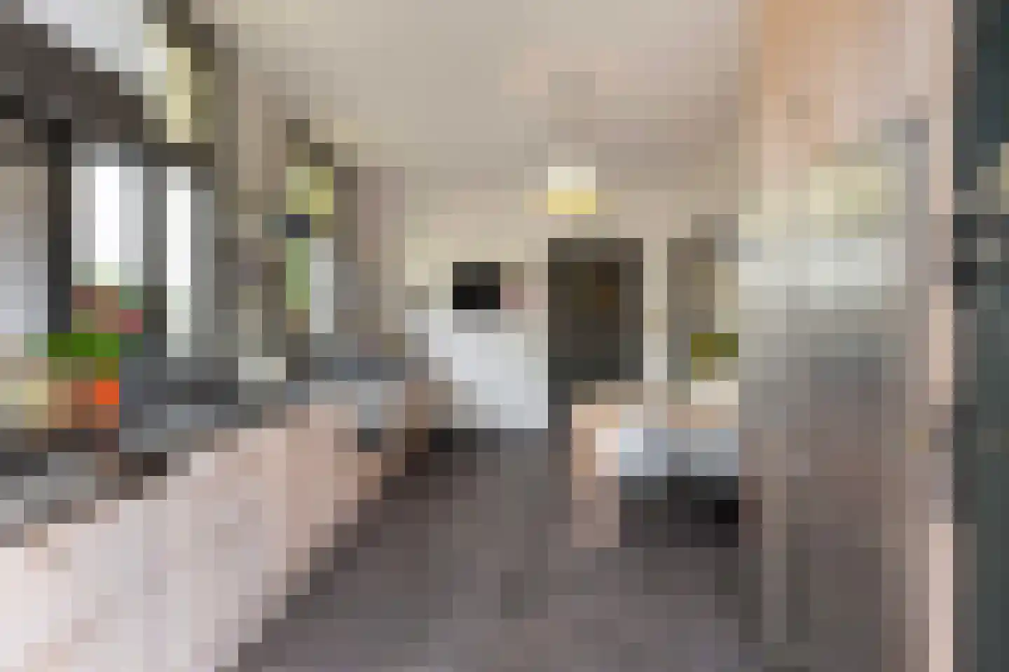 Generaal Van Swietenlaan 5 Apeldoorn thumbnail 18