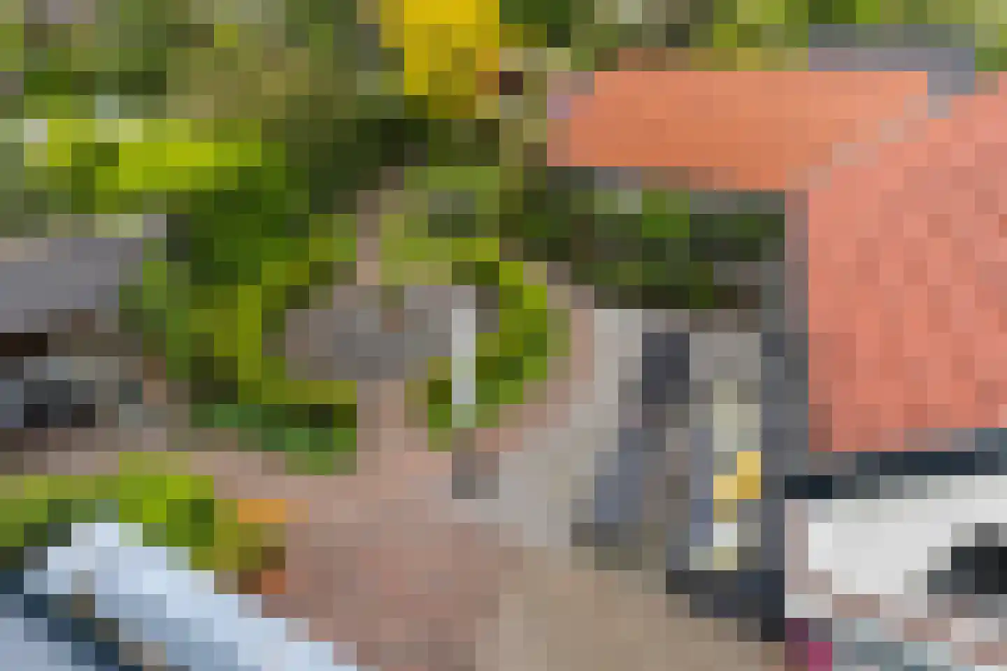 Generaal Van Swietenlaan 5 Apeldoorn thumbnail 53