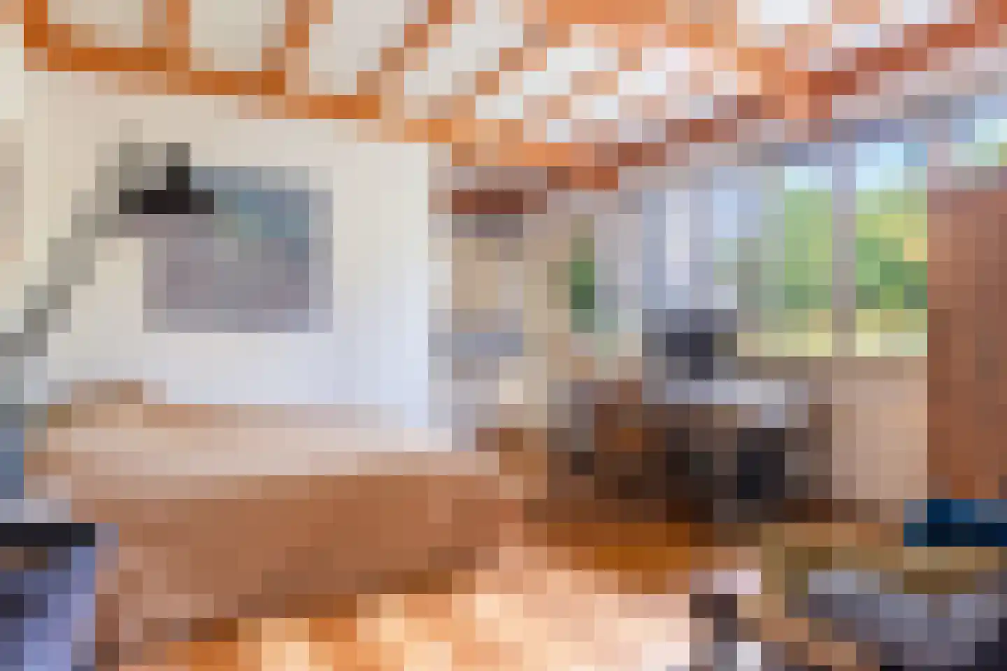 Generaal Van Swietenlaan 6 Apeldoorn thumbnail 19