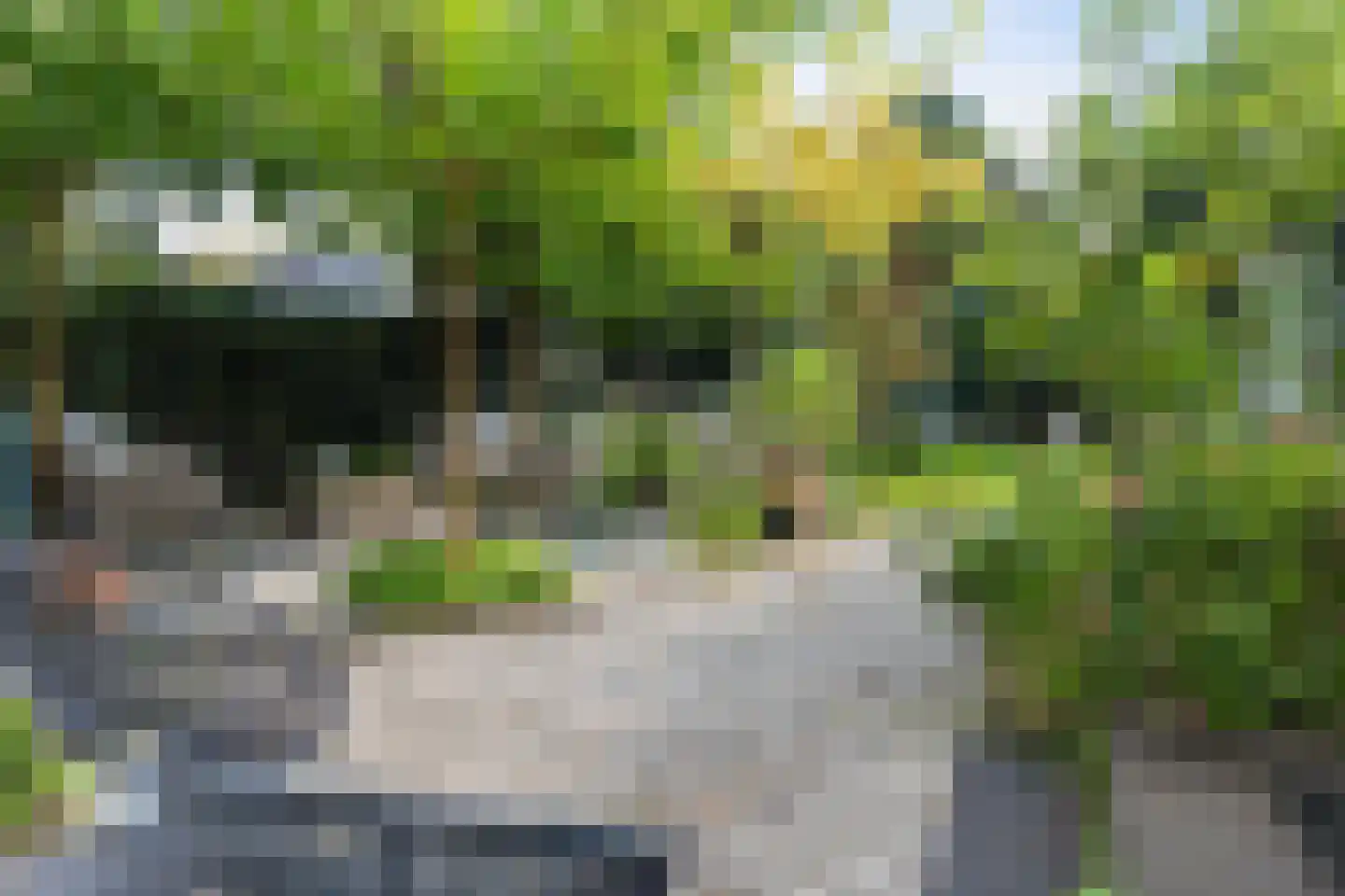 Generaal Van Swietenlaan 6 Apeldoorn thumbnail 22