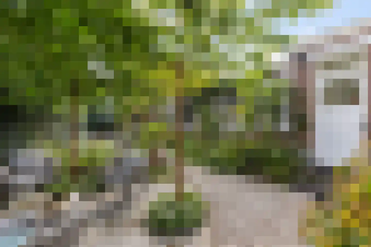 Generaal Van Swietenlaan 6 Apeldoorn thumbnail 26