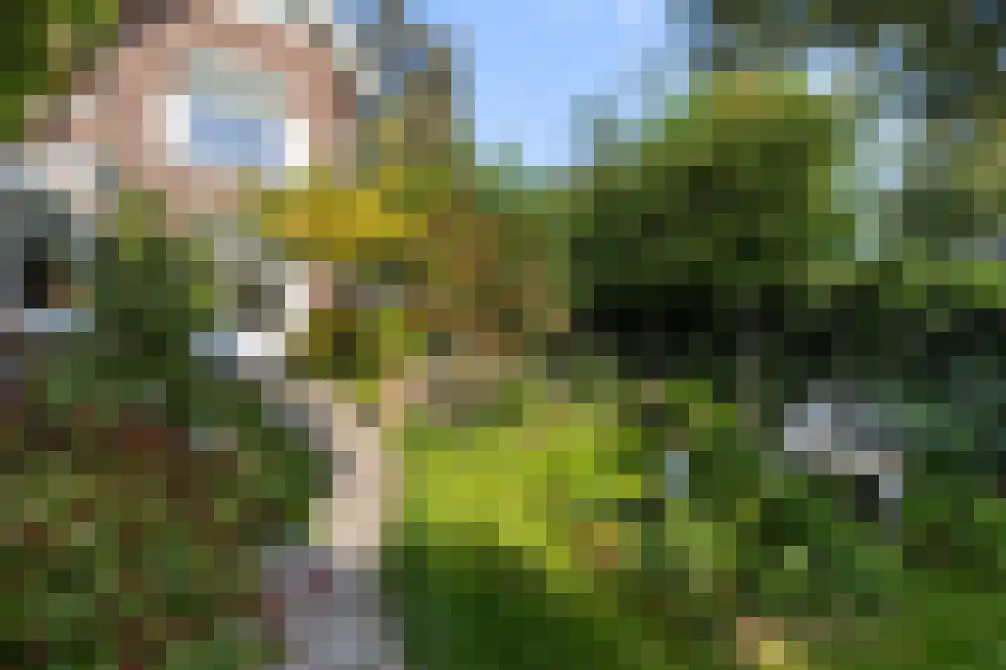 Generaal Van Swietenlaan 6 Apeldoorn thumbnail 28
