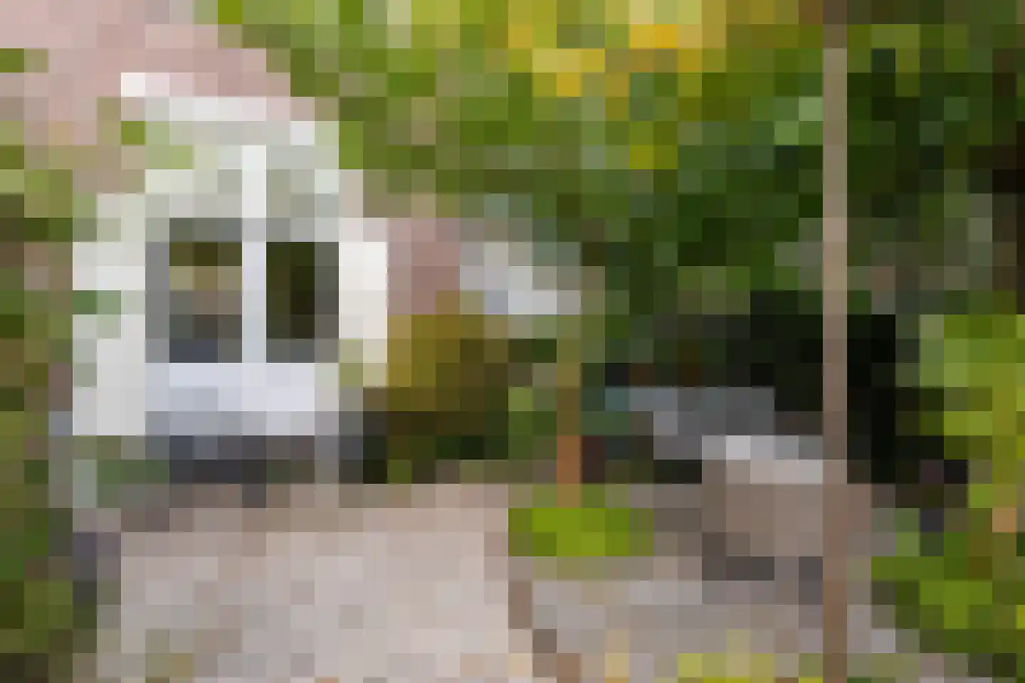 Generaal Van Swietenlaan 6 Apeldoorn thumbnail 31