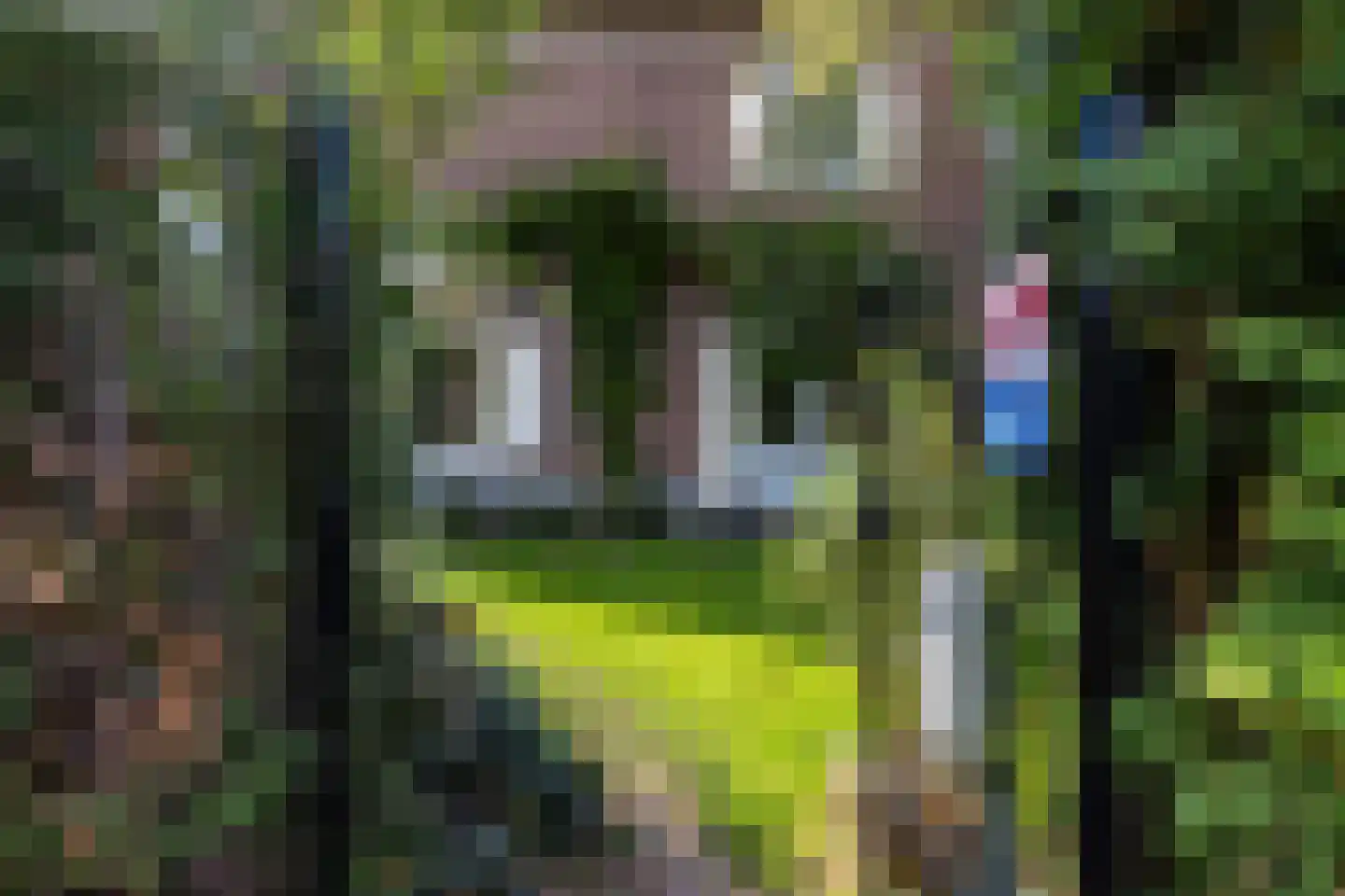 Generaal Van Swietenlaan 6 Apeldoorn thumbnail 35