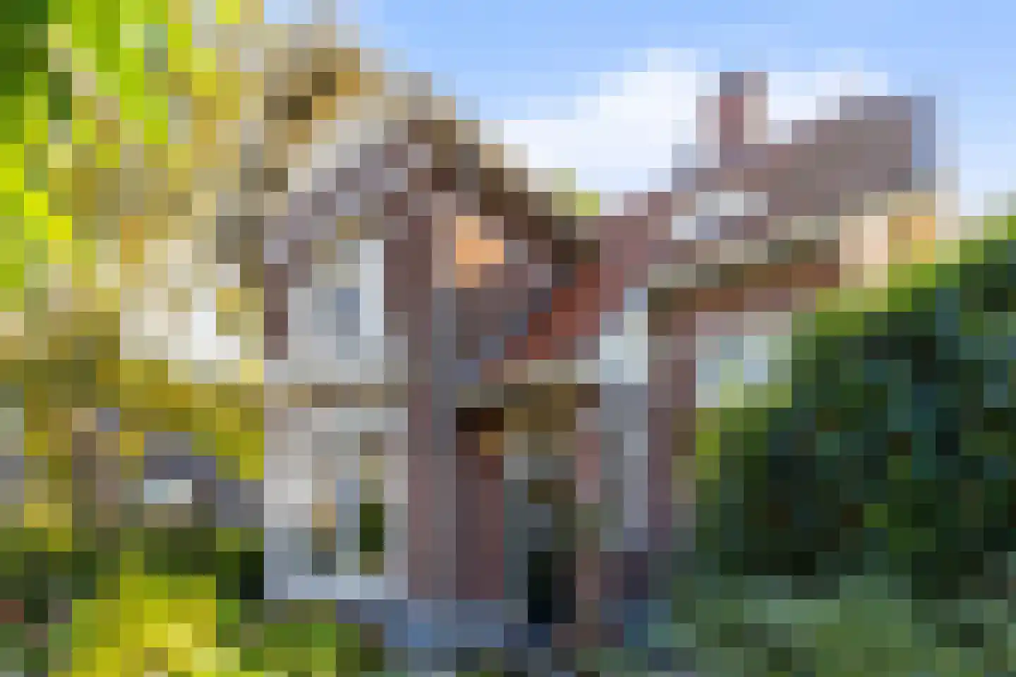 Generaal Van Swietenlaan 6 Apeldoorn thumbnail 42
