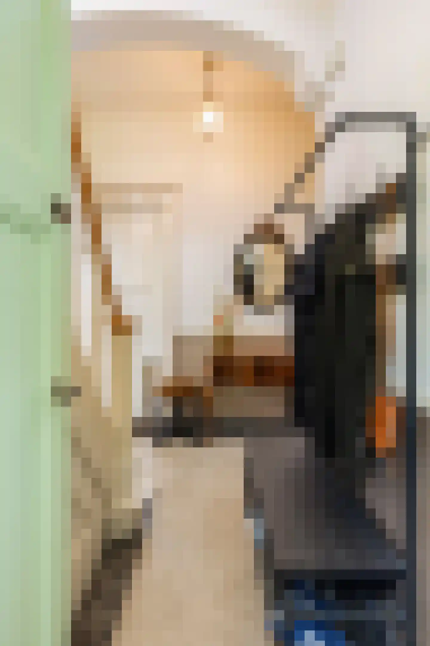 Generaal Van Swietenlaan 6 Apeldoorn thumbnail 46