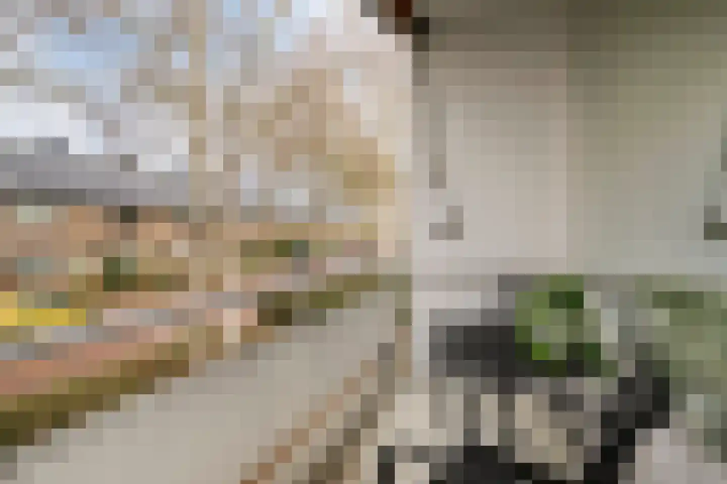 Generaal van Teynstraat 38 Eindhoven thumbnail 24