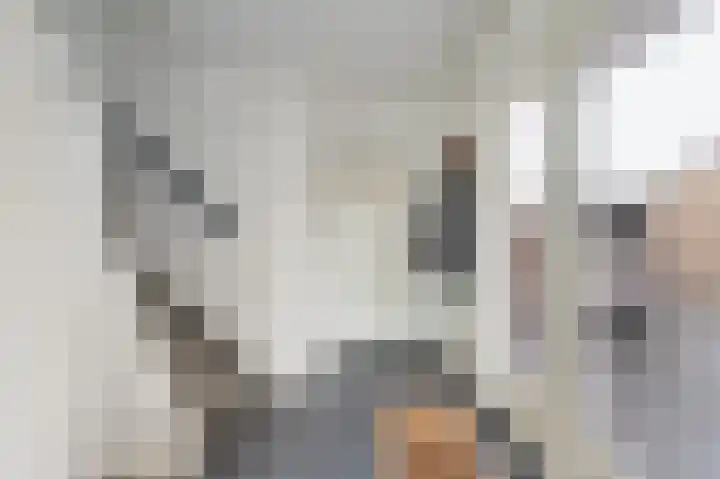 Generaal van Vlijmenstraat 7 Veghel thumbnail 11