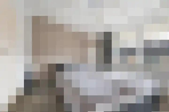 Generaal van Vlijmenstraat 7 Veghel thumbnail 12