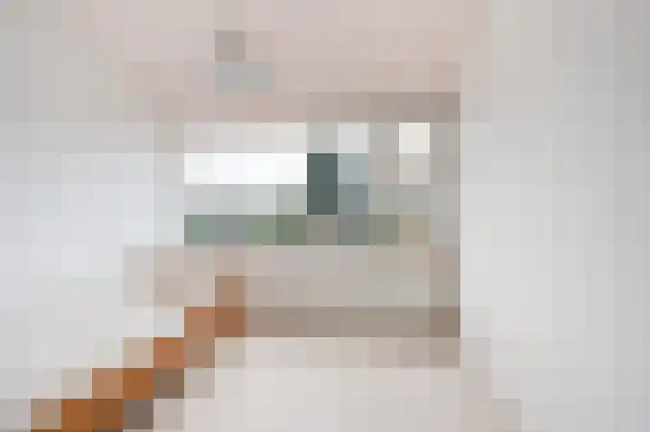 Generaal van Vlijmenstraat 7 Veghel thumbnail 14