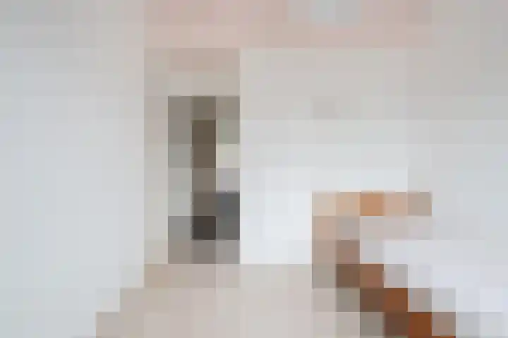 Generaal van Vlijmenstraat 7 Veghel thumbnail 15