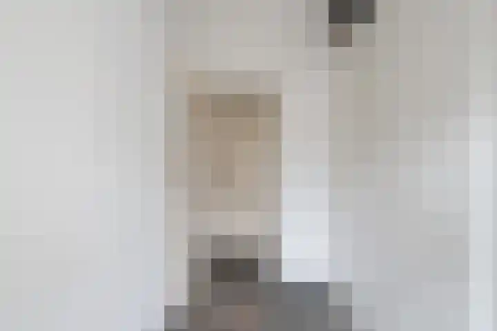 Generaal van Vlijmenstraat 7 Veghel thumbnail 17