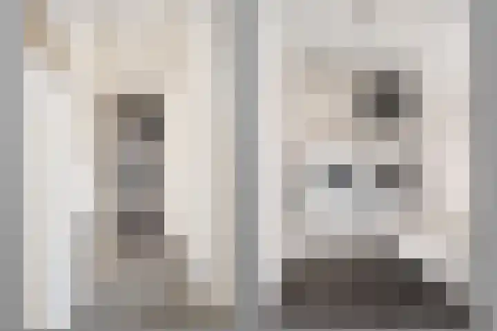 Generaal van Vlijmenstraat 7 Veghel thumbnail 21