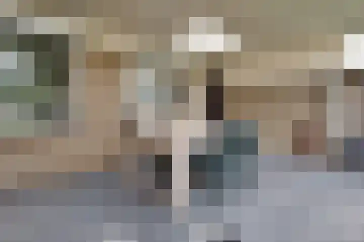 Generaal van Vlijmenstraat 7 Veghel thumbnail 22